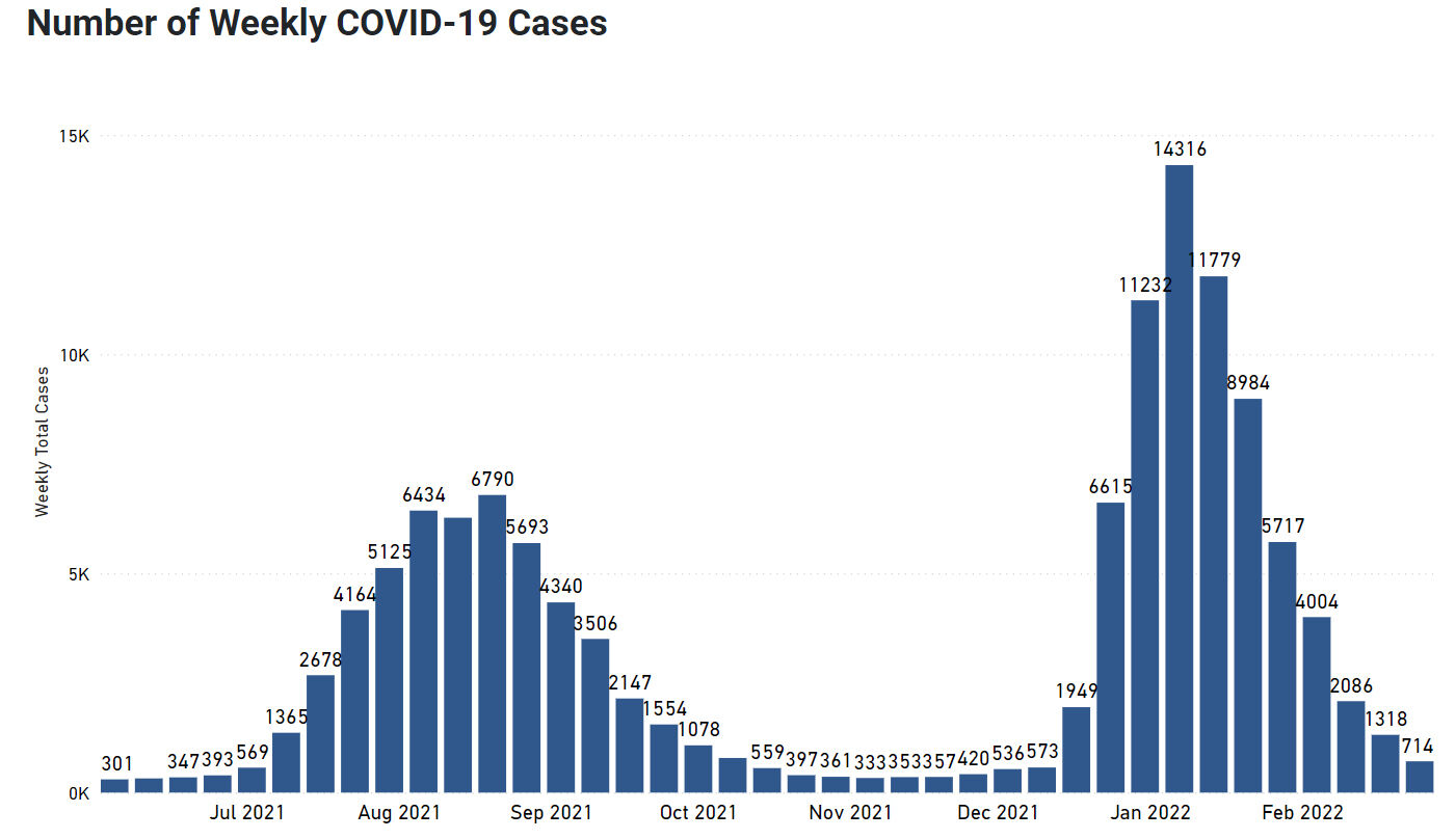 cases.jpg